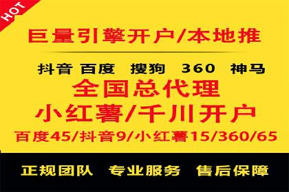 顶级SEM运营公司案例分析